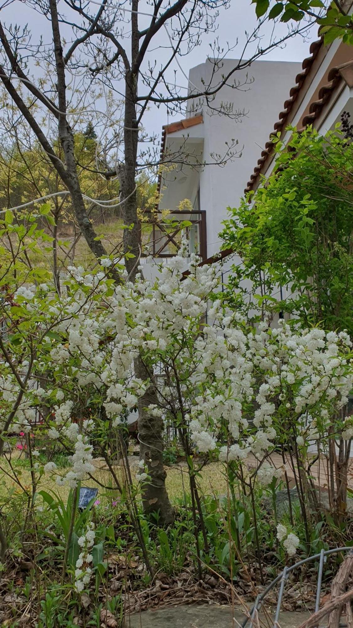 Villa Saint Paul De Vence à Damyang Chambre photo